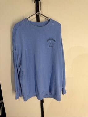 EUC - Aerie size M Wonderland Spirit Light Blue Crewneck Sweater
